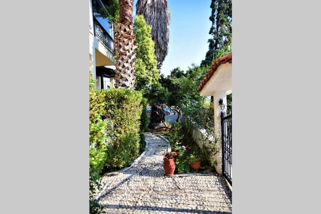Calma Luxury Apartments #4 Sozopoli In Halkidiki Exterior photo